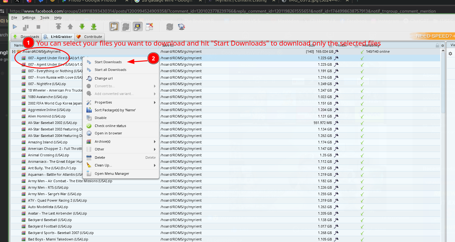 JDownloader's LinkGrabber tab with a single file selected and the 'Start Downloads' context menu option highlighted